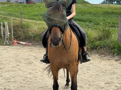 Bild 91 aus  Matlhof