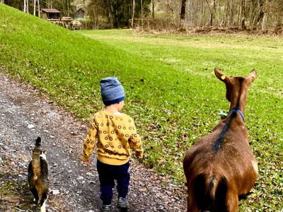 Bild 30 aus  Ferienhof Rösslar