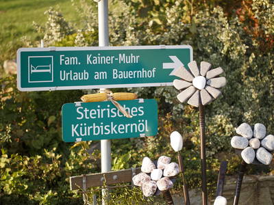 Bild 23 aus  Kainer-Muhr