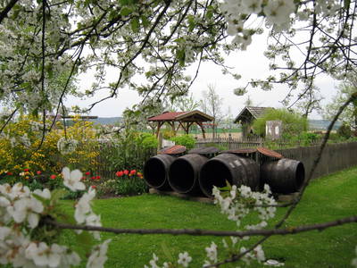 Bild 48 aus  Vitalhof Roithinger