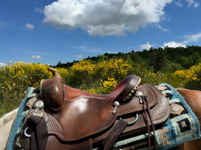 Bild 89 aus  Casa Bivignano