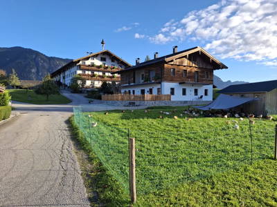 Bild 2 aus  Riedhof-Zuahaus