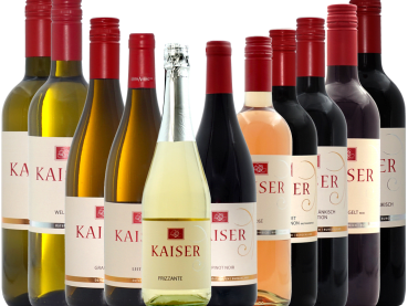 Bild 21 aus  Winzerschlössl Kaiser