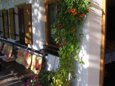 Bild 61 aus  Blattlbauer