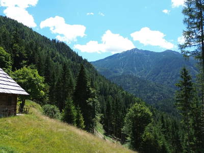 Bild 8 aus  Almhütte Meierle