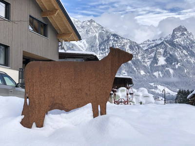 Bild 35 aus  Margreitterhof