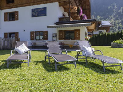 Bild 95 aus  Larchergut