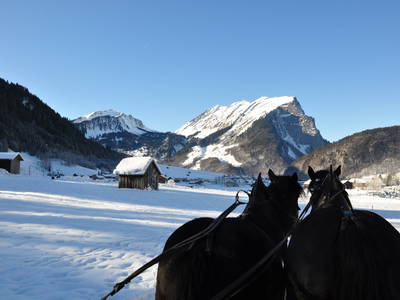 Bild 27 aus  Hof Erath