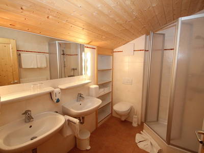 Bild 118 aus  Rimmlhof & Rimmlstube