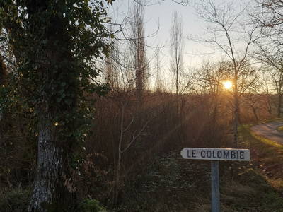 Bild 214 aus  Le Colombié - Ferienhäuser an der Dordogne mieten
