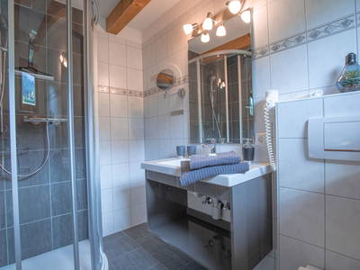 Bild 149 aus  Kinderbauernhof Albeineler Pitztal Tirol