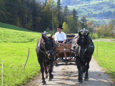 Bild 28 aus  Bauernhof Schneider