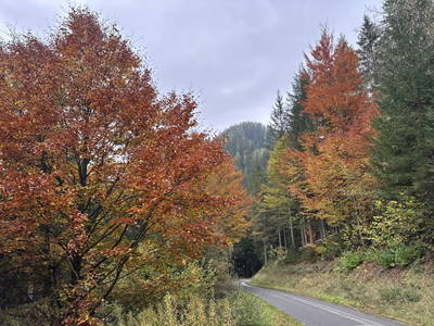 Bild 36 aus Spitalalm