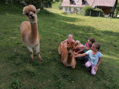 Bild 74 aus  Biohof Kroisleitner