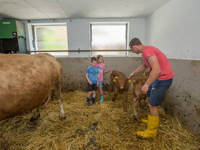 Bild 69 aus  Ferienhof Pfaffenlehen