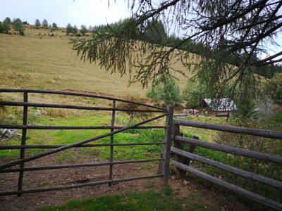 Bild 49 aus  Größingalm