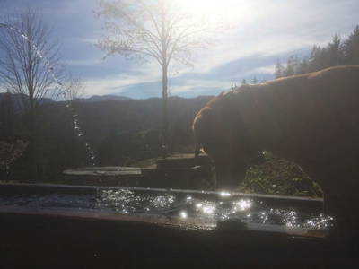 Bild 40 aus  Holzknechthütte