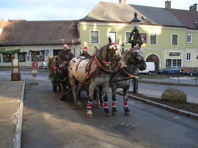 Bild 44 aus  Reitstall Familie Inghofer - Gästehaus & Bauernhof