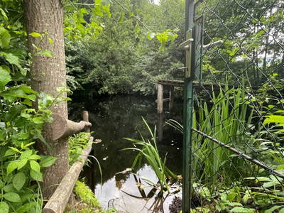 Bild 82 aus  1000 Krauthof - Ferienwohnung