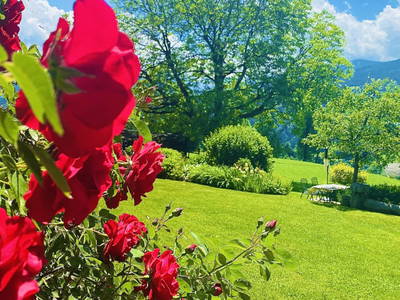 Bild 9 aus  Erbhof Hinting + Appartementhaus Hinting