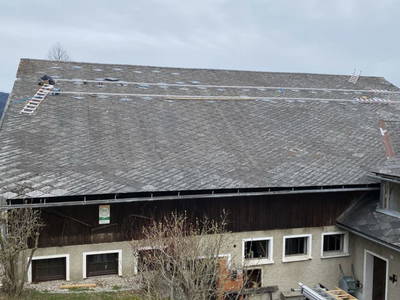 Bild 229 aus  Seewaldhof