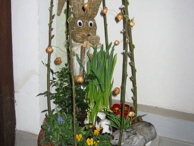 Bild 16 aus  Bio-Bauernhof Kranzbauer