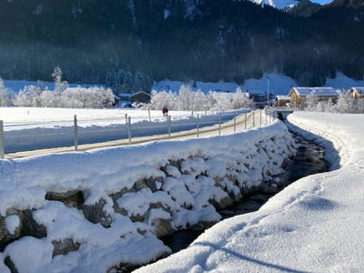 Bild 111 aus  Ferienbauernhof Kohler