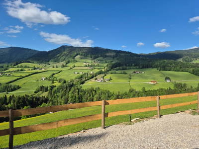 Bild 23 aus  Sommerkino - Schäferhütte