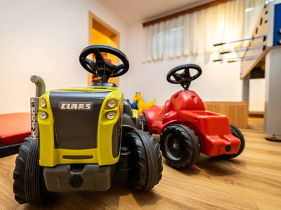 Bild 98 aus  Ausserraingut