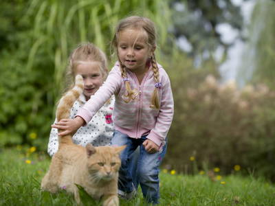Bild 11 aus  Testhof UaB NÖ