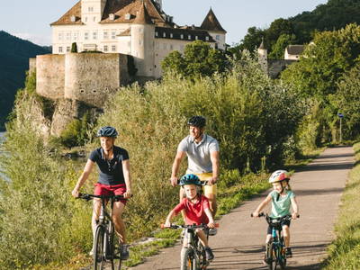 Bild 67 aus  BioWeingut Hauerhof 99