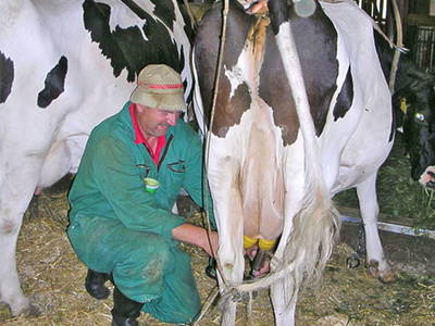 Bild 40 aus  Ausserwieserhof Kaser