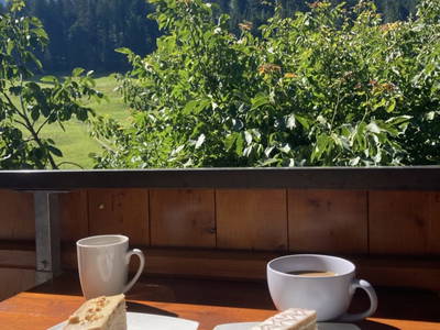 Bild 30 aus  Bauernhof Ober