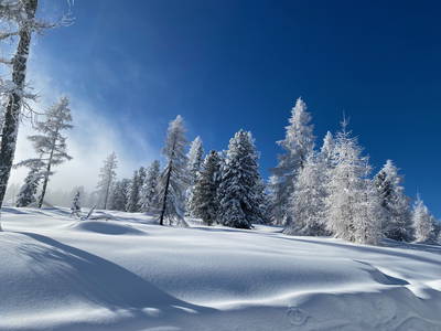 Bild 35 aus  Ferien am Talhof