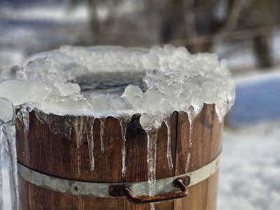 Bild 96 aus  Pfleger Ranch am Schönegg Gut