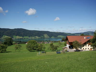 Bild 48 aus  Ferienhof Edtmeier 