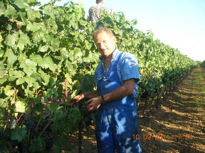 Bild 20 aus  Pension Hareter