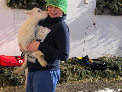 Bild 43 aus  Familienbauernhof Winkelhof