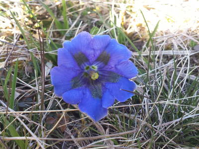 Bild 15 aus  Hanslerhütte