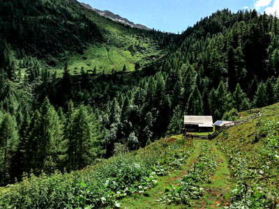 Bild 10 aus Berghütte Ploatschtratten