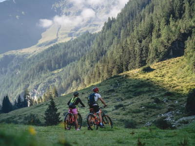 Bild 83 aus  Enzianhütte im Habachtal
