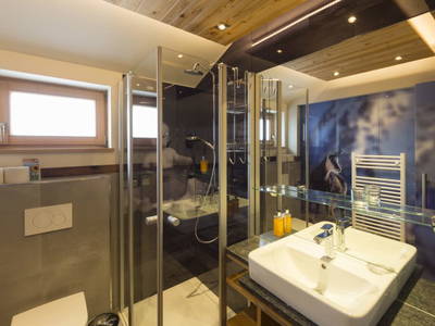 Bild 33 aus  Almresort Baumschlagerberg