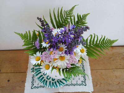 Bild 42 aus  Naturparkbauernhof - Kaiserhof