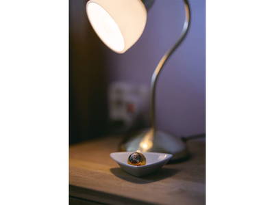 Bild 383 aus  Pimperlhof