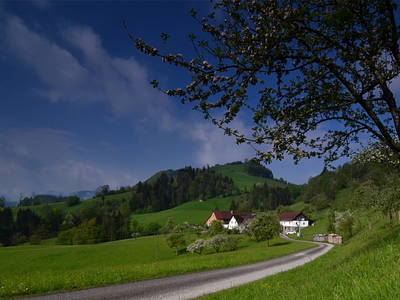 Bild 2 aus  Naglerhof