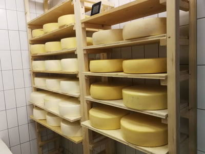 Bild 77 aus  Oranhof