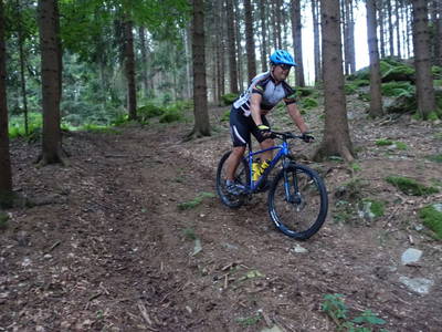 Bild 115 aus   Pammer - Jahn
