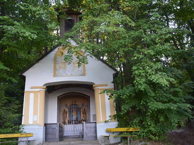 Bild 53 aus  Weingut Seiner vlg.Kraxner