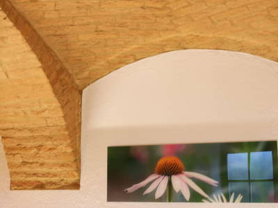 Bild 54 aus  Buchgrabenhof