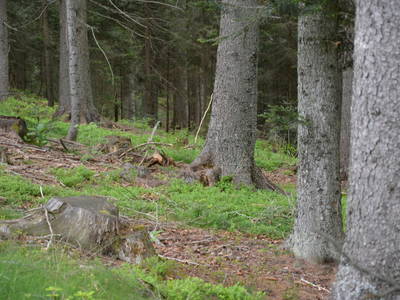 Bild 43 aus  Weingut Seiner vlg.Kraxner